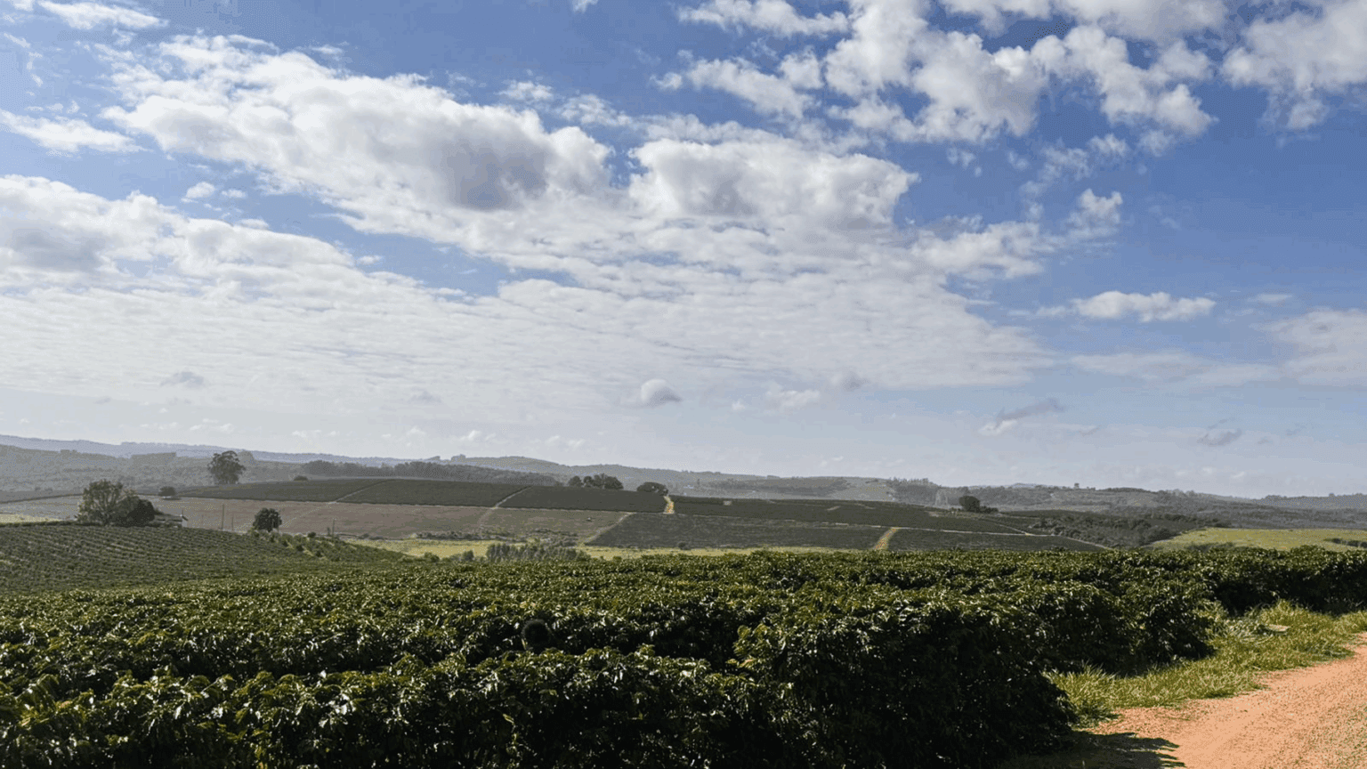 Paisaje de Fazenda Guariroba
